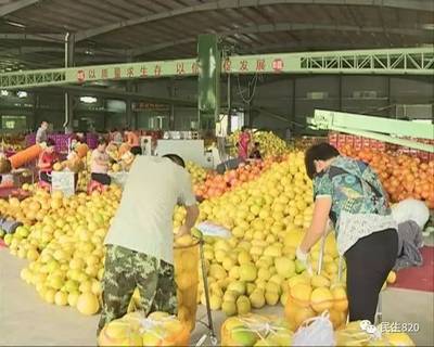 柚子批發熱銷背后的物流保障探秘