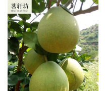 贛州柚子產品庫——優質柚子批發，盡在江西產品庫