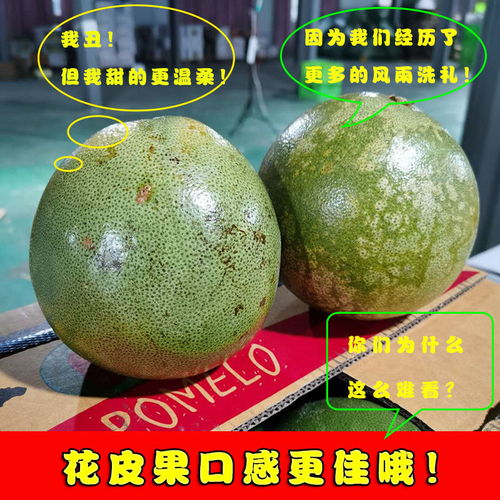 泰國青柚 白心金柚，當季鮮果，享譽全球的熱帶特產