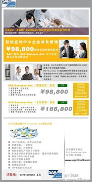 深圳SAP Business One軟件綜合服務指南 報價、實施、培訓與外包解決方案
